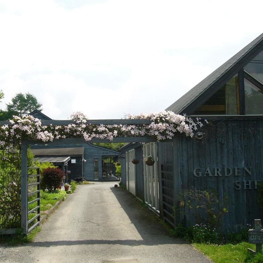 山中湖のコテージGARDENSHED、Montanaの入り口にあるゲートにはクレマチスモンタナが咲きます